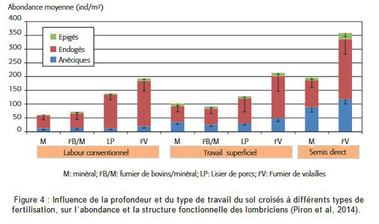 graphique abondance du sol
