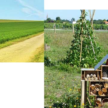 img article cultures