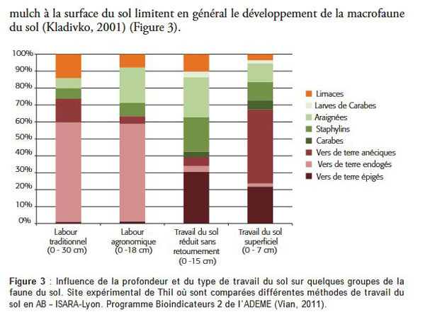 graphique Diversité du sol