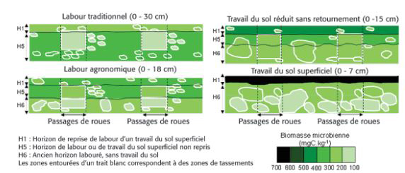 graphique structure du sol