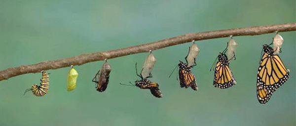 Image d'illustration du monde